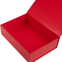 Glans gelamineerde magneetdozen Rood - 35x25x10cm - 25 stuks