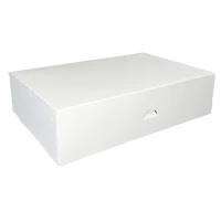 Cateringdoos Wit - 310x220x80mm - 120 st/ds.