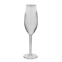 Herbruikbaar Champagneglas (SAN/PS) 15cl - 24 st/ds.