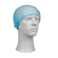 Haarnetjes - Blauw - Universeel - 1.200 st/ds.