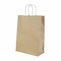 Papieren tas gedraaid handvat - Bruin - 24x11x31cm - 200 st/ds.