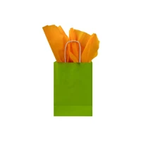Papieren tas gedraaid handvat - Groen - 15x8,5x21,5cm - 250 st/ds.