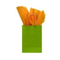 Papieren tas gedraaid handvat - Groen - 22x10x30cm - 250 st/ds.