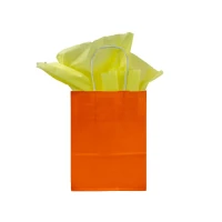 Papieren tas gedraaid handvat - Oranje - 19x8x22cm - 250 st/ds.