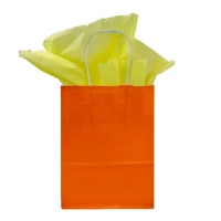 Papieren tas gedraaid handvat - Oranje - 32x12x42cm - 250 st/ds.