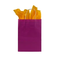 Papieren tas gedraaid handvat - Roze - 32x12x42cm - 250 st/ds.