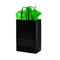 Papieren tas gedraaid handvat - Zwart - 22x10x30cm - 250 st/ds.