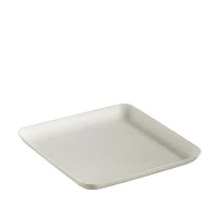 Bagastro Suikerriet Bord Vierkant 160 x 160mm - 40 stuks