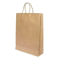 Papieren tas gedraaid handvat - Bruin - 32x12x41cm - 200 st/ds.