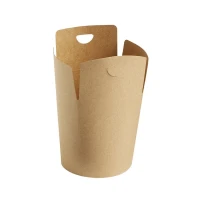 Kraft Noodle/Wok to Go Box 500cc – 1.000 p/ds.