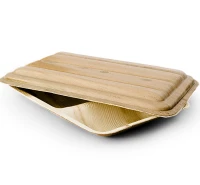 Palmblad Schaal + Deksel Rechthoekig 2V/26x18x4,5cm - 100 st/ds.
