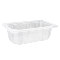Gastro 1/4 PP Thermoform 265/80mm Transparant - 240 st/ds.