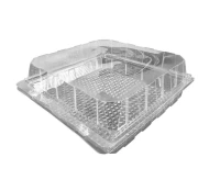 Blister voor Gebak/Broodjes APET 20x19,2x6,5cm - 300 st/ds.