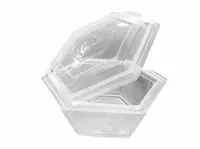 Plastic Bakje met vast (klap)deksel 250cc - 500 st/ds.