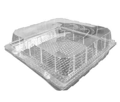 Blister voor Gebak/Broodjes APET 24x23,2x10cm - 210 st/ds.